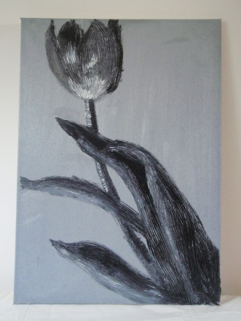 Černý tulipán,olej,plátno 50x70